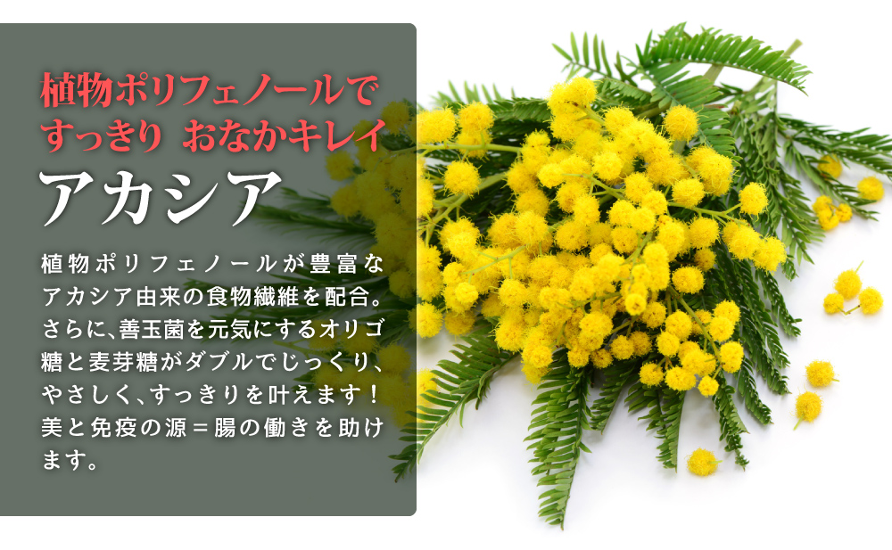 アカシア