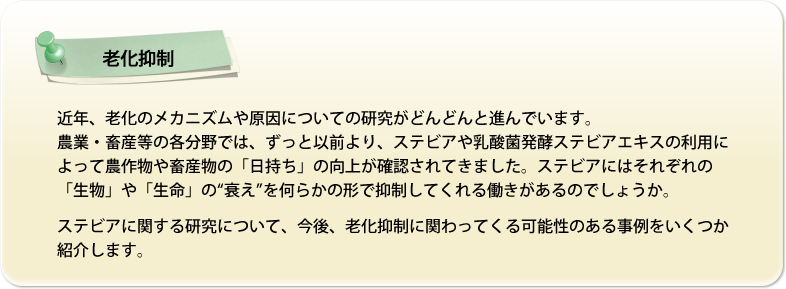 【老化抑制】近年、老化のメカニズムや原因についての研究がどんどんと進んでいます。
農業・畜産等の各分野では、ずっと以前より、ステビアや乳酸菌発酵ステビアエキスの利用によって農作物や畜産物の「日持ち」の向上が確認されてきました。ステビアにはそれぞれの
「生物」や「生命」の“衰え”を何らかの形で抑制してくれる働きがあるのでしょうか。
ステビアに関する研究について、今後、老化抑制に関わってくる可能性のある事例をいくつか
紹介します。