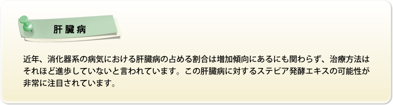 【肝臓病】近年、消化器系の病気における肝臓病の占める割合は増加傾向にあるにも関わらず、治療方法はそれほど進歩していないと言われています。この肝臓病に対するステビア発酵エキスの可能性が非常に注目されています。