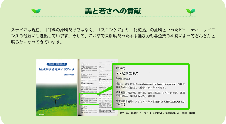 【美と若さへの貢献】ステビアは現在、甘味料の原料だけではなく、「スキンケア」や「化粧品」の原料といったビューティーサイエンスの分野にも進出しています。そして、これまで未解明だった不思議な力も各企業の研究によってどんどんと明らかになってきています。