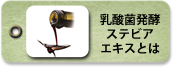 乳酸菌発酵ステビアエキスとは